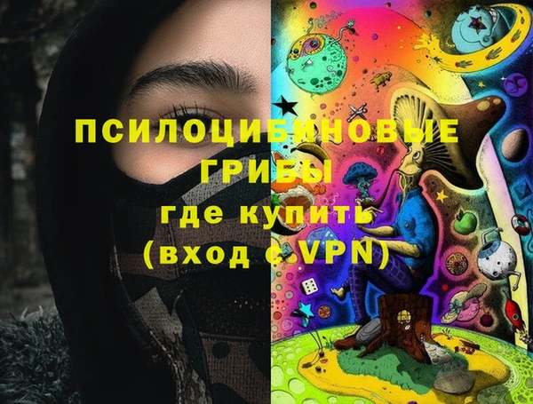 спиды Мегион