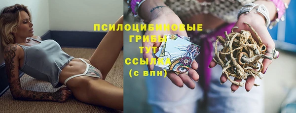 спиды Мегион